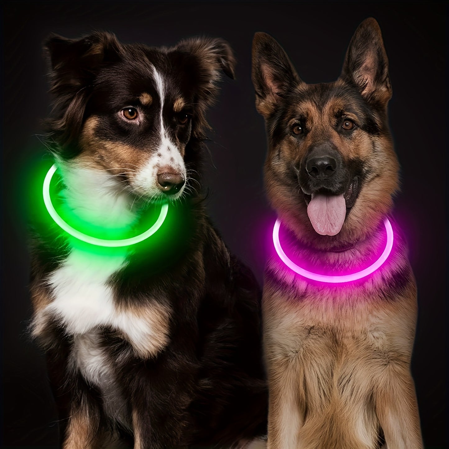 Pet Dog LED Light Collar Whole Luminous At Night Anti-loss USB Rechargeable Dog Collar
